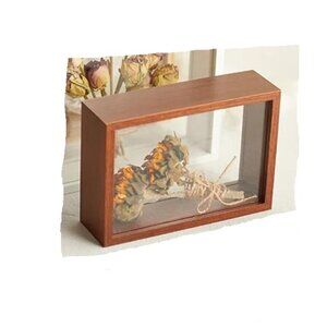 Wooden Photo Frame Shadow Box 4 x 6 Frame Display Case Transparent